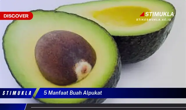 5 manfaat buah alpukat