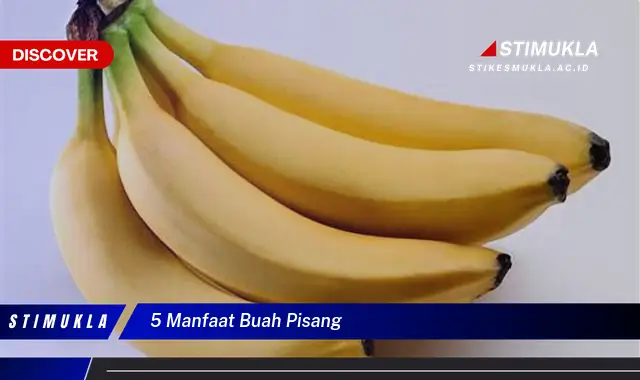 5 manfaat buah pisang