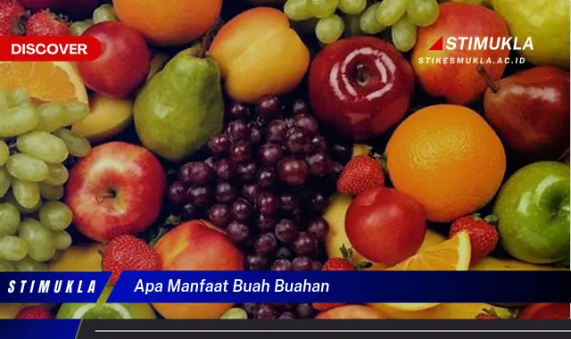 apa manfaat buah buahan