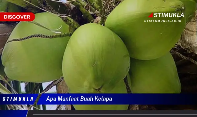 apa manfaat buah kelapa