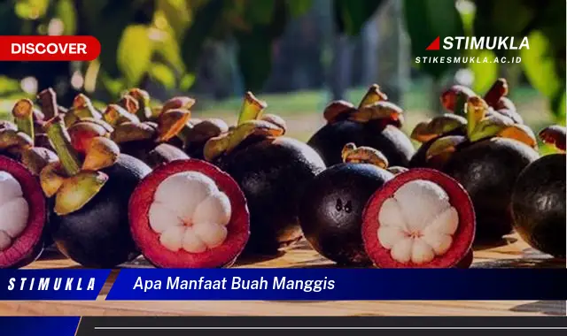 apa manfaat buah manggis