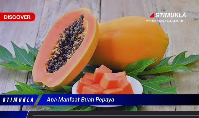 apa manfaat buah pepaya