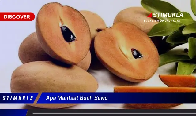 apa manfaat buah sawo