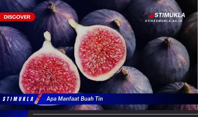 apa manfaat buah tin