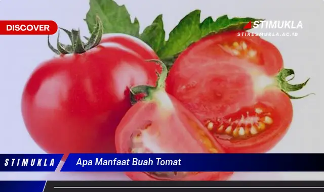 apa manfaat buah tomat