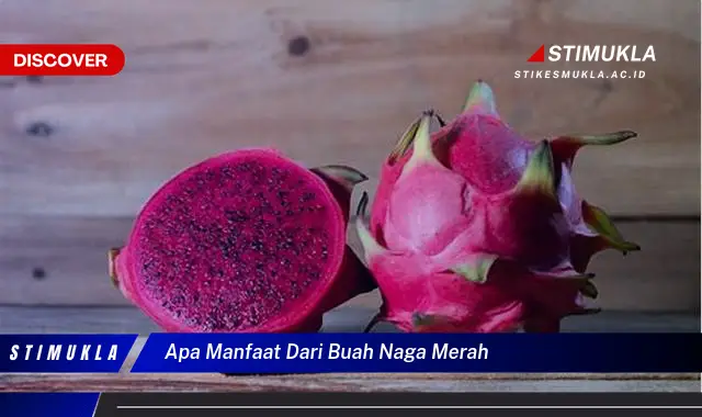 apa manfaat dari buah naga merah