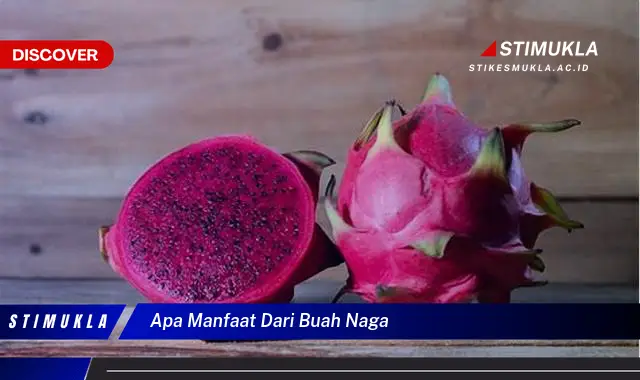 apa manfaat dari buah naga