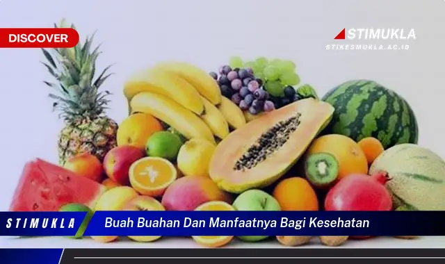 buah buahan dan manfaatnya bagi kesehatan