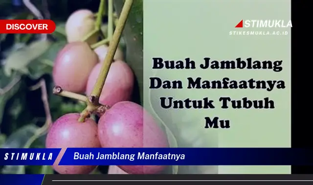 buah jamblang manfaatnya