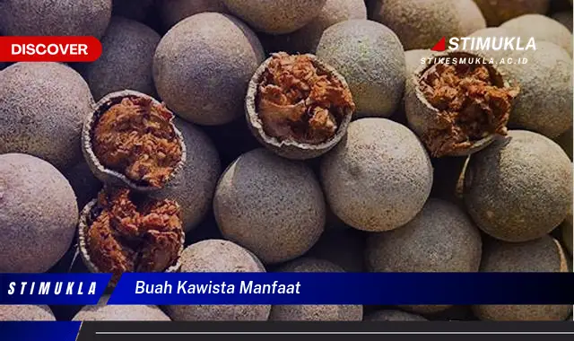 buah kawista manfaat