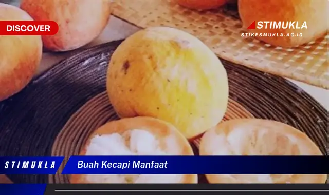 buah kecapi manfaat