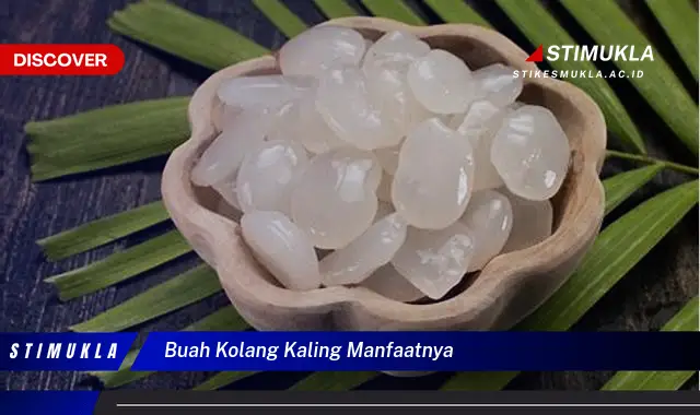 buah kolang kaling manfaatnya