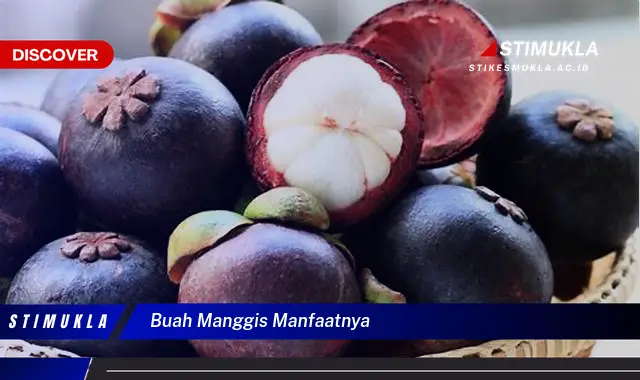 buah manggis manfaatnya