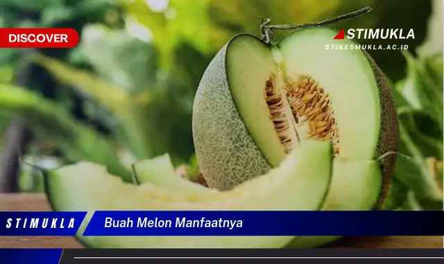 buah melon manfaatnya