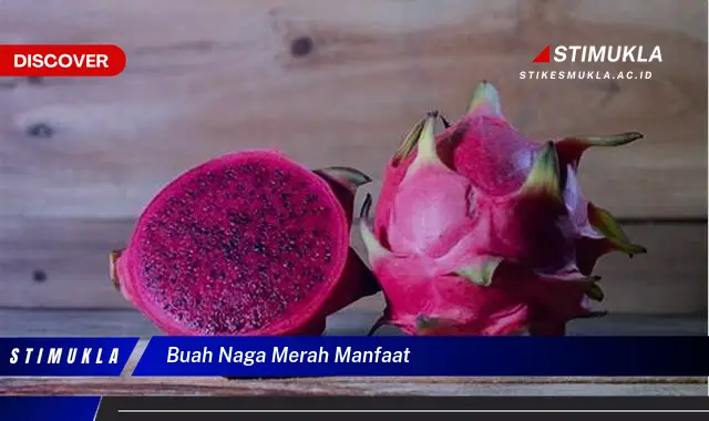 buah naga merah manfaat