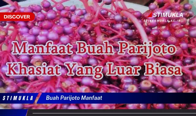 buah parijoto manfaat