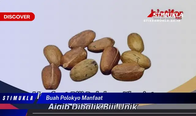 buah polokyo manfaat