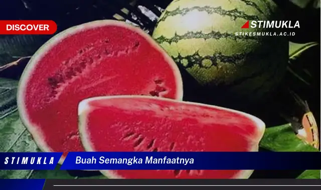 buah semangka manfaatnya