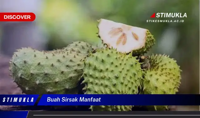 buah sirsak manfaat