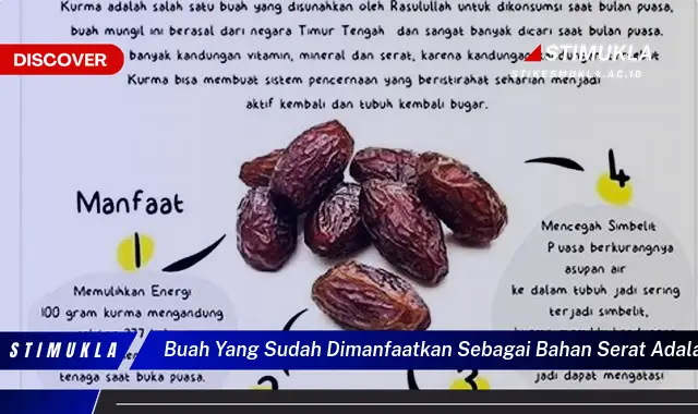 buah yang sudah dimanfaatkan sebagai bahan serat adalah