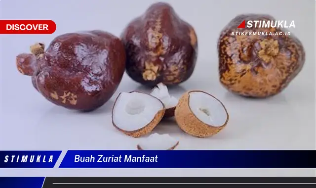 buah zuriat manfaat