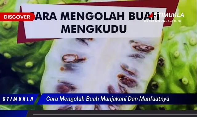 cara mengolah buah manjakani dan manfaatnya
