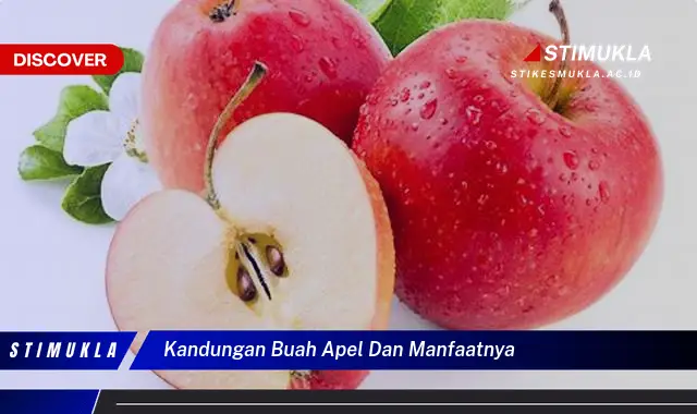 kandungan buah apel dan manfaatnya