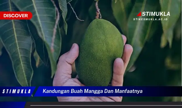 kandungan buah mangga dan manfaatnya