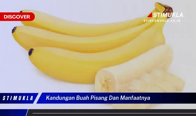 kandungan buah pisang dan manfaatnya