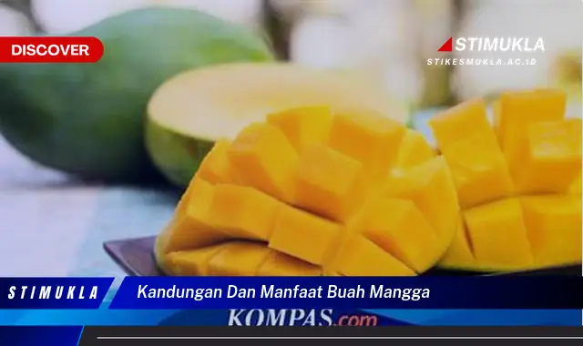 kandungan dan manfaat buah mangga