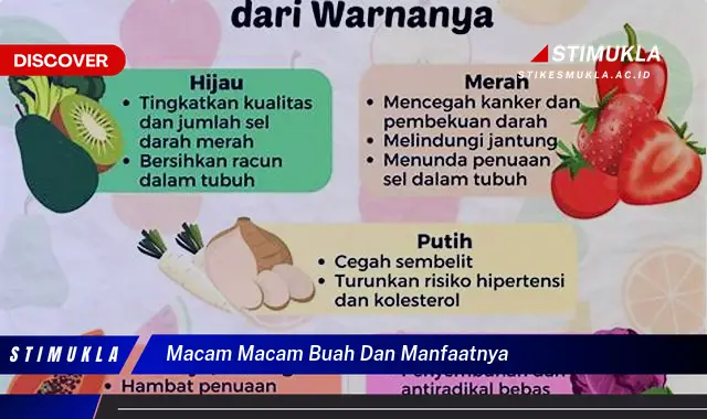 macam macam buah dan manfaatnya