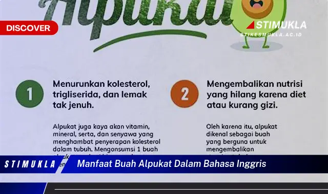 manfaat buah alpukat dalam bahasa inggris