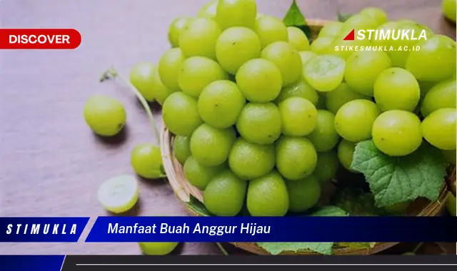 manfaat buah anggur hijau