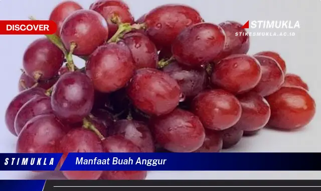 manfaat buah anggur