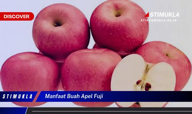 manfaat buah apel fuji manfaat buah apel fuji