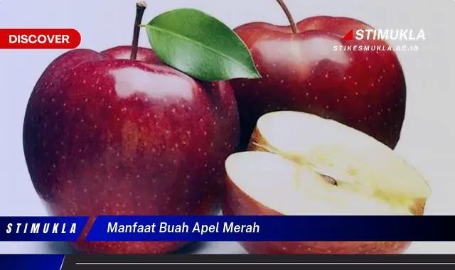 manfaat buah apel merah