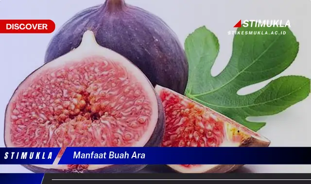 manfaat buah ara