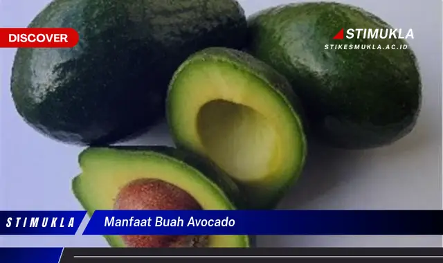 manfaat buah avocado