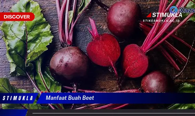 manfaat buah beet