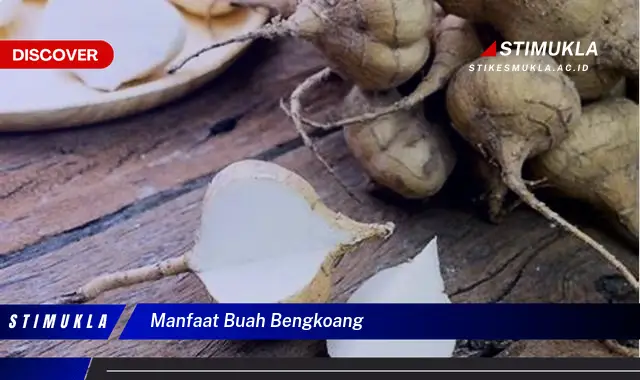 manfaat buah bengkoang