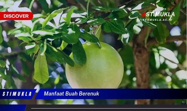 manfaat buah berenuk