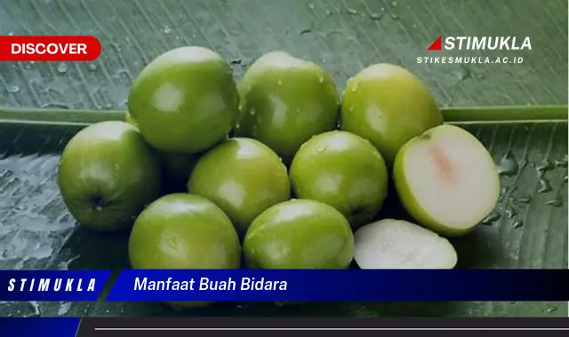 manfaat buah bidara