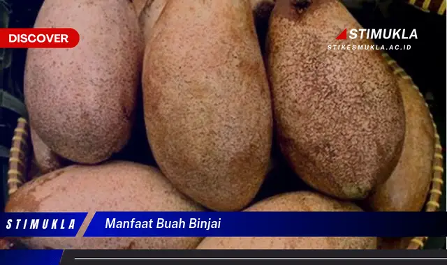 manfaat buah binjai