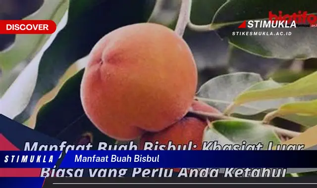 manfaat buah bisbul