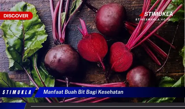 manfaat buah bit bagi kesehatan