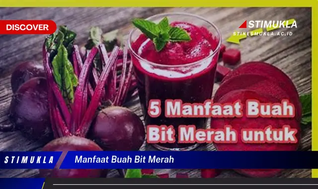 manfaat buah bit merah