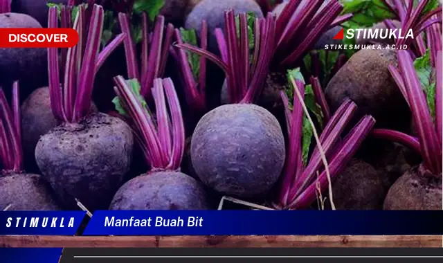 manfaat buah bit