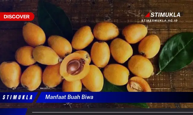 manfaat buah biwa