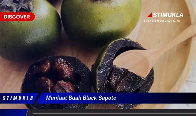 manfaat buah black sapote