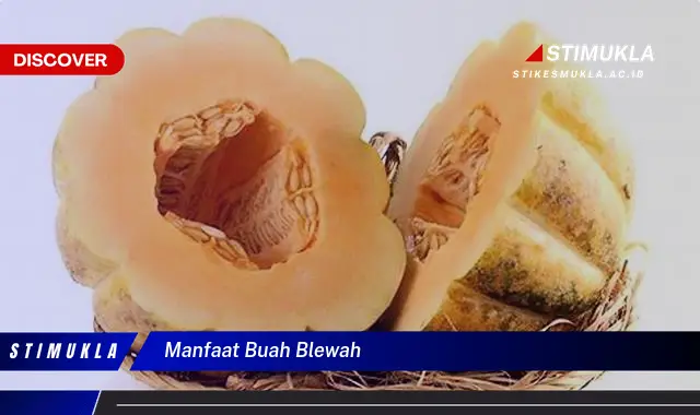 manfaat buah blewah